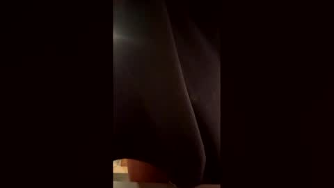 Wildeman online show from February 2026 07:20:02 PM