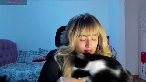   online show from December 2024 06:09:02 PM