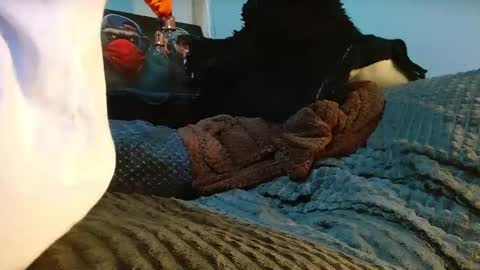 Snapshot of the_anfitrion69 chatting on April 2026 12:38:02 AM GIORGGIO online show from April 2026 12:38:02 AM