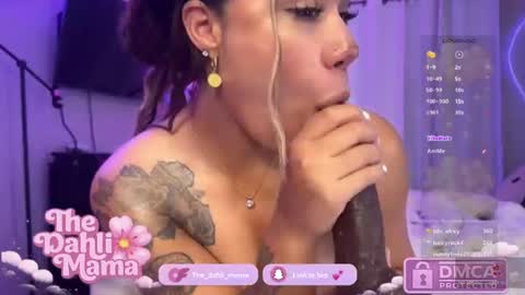 the_dahli_mama online show from July 2026 04:05:01 AM