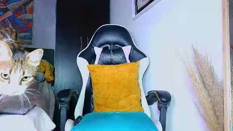 the dog lian online show from July 2026 12:24:01 AM