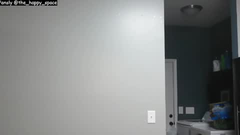 Snapshot of the_happy_space chatting on November 2025 12:38:02 AM MATERNITY LEAVE online show from November 2025 12:38:02 AM