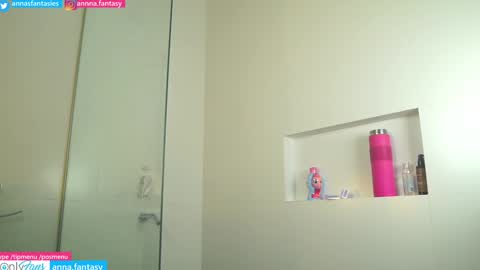 Snapshot of the_pussy_boulevard chatting on December 2024 01:14:01 AM Anna online show from December 2024 01:14:01 AM