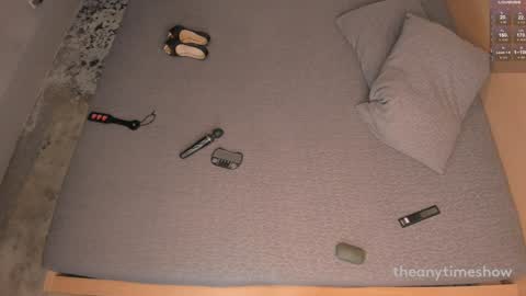 Snapshot of theanytimeshow chatting on December 2024 01:45:01 AM Anny online show from December 2024 01:45:01 AM