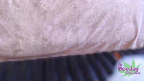 TheBeeJayShow online show from December 2024 01:36:02 AM