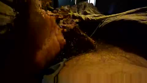 thebest153 online show from April 2026 02:26:01 PM