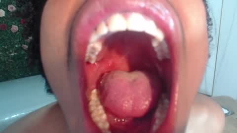 Flavor online show from March 2026 02:50:01 AM