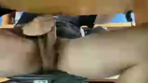 thecamenjoyer24 online show from June 2026 12:26:02 PM
