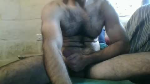 Thefatcurve online show from December 2024 10:34:02 AM