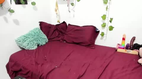 Snapshot of thefenix_jyk chatting on January 2025 07:18:01 AM Ariamapola88 online show from January 2025 07:18:01 AM