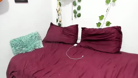 Snapshot of thefenix_jyk chatting on February 2025 04:06:01 AM Ariamapola88 online show from February 2025 04:06:01 AM