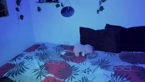 Snapshot of thefenix_jyk chatting on November 2025 01:44:01 AM Ariamapola88 online show from November 2025 01:44:01 AM