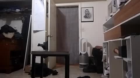 Arching4Life online show from December 2024 11:10:02 AM