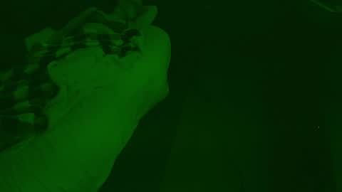 Snapshot of thehungmantis chatting on December 2024 04:32:01 AM thehungmantis online show from December 2024 04:32:01 AM