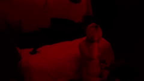 Snapshot of thehungmantis chatting on October 2025 02:22:02 AM thehungmantis online show from October 2025 02:22:02 AM