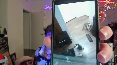 Johnny Stone online show from December 2024 01:13:01 AM