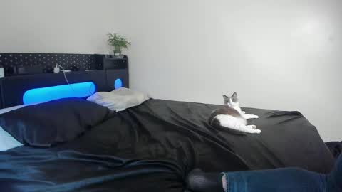 Johnny Stone online show from April 2026 11:39:02 PM