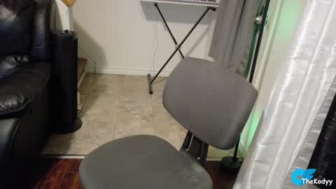 Snapshot of thekodyy chatting on March 2026 07:34:02 AM thekodyy online show from March 2026 07:34:02 AM