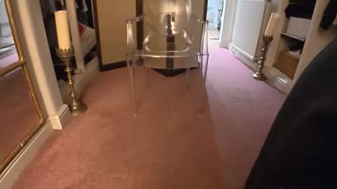 Snapshot of theladyduchess chatting on February 2026 12:25:02 AM theladyduchess online show from February 2026 12:25:02 AM