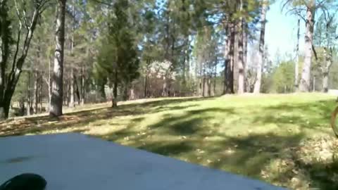 Daisy and Tim online show from March 2026 06:12:02 PM