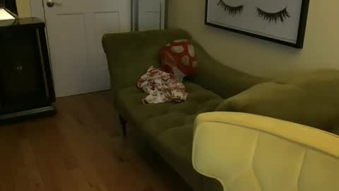 Cach Nelson online show from November 2025 08:36:02 AM