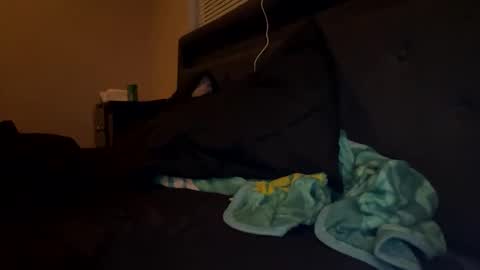 Snapshot of thepipe_layer chatting on November 2025 02:06:01 AM ThePipe online show from November 2025 02:06:01 AM