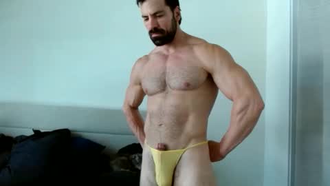 Yoshi online show from November 2025 06:18:01 PM