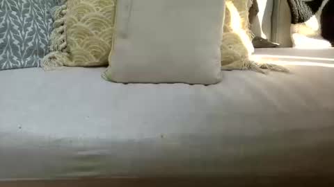 Thanos Grand 69 online show from October 2025 01:32:02 PM