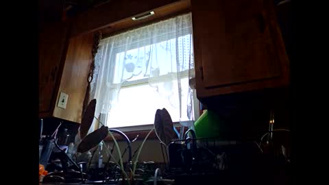 Snapshot of therizzler_1_of_1 chatting on September 2025 06:30:01 PM therizzler_1_of_1 online show from September 2025 06:30:01 PM