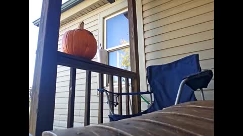 Snapshot of therizzler_1_of_1 chatting on October 2025 07:57:02 PM therizzler_1_of_1 online show from October 2025 07:57:02 PM