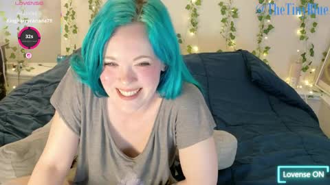 Tiny Blue online show from April 2026 05:14:01 PM