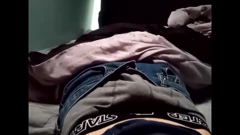 Snapshot of theturtleshead chatting on January 2025 11:05:01 PM theturtleshead online show from January 2025 11:05:01 PM