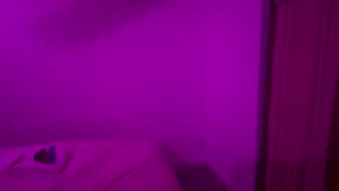 The Wild Wonderland online show from January 2026 07:28:02 PM