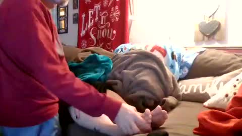 mellow online show from December 2024 12:04:01 AM