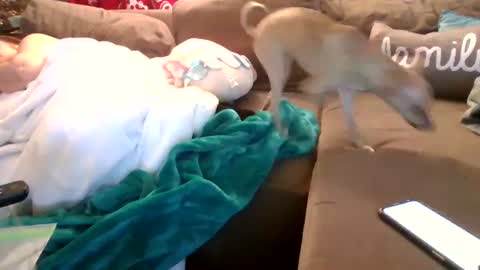 mellow online show from February 2025 03:55:02 AM