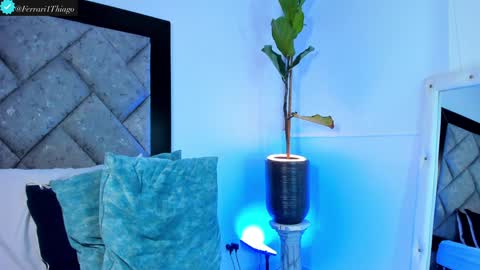 thiago online show from December 2024 02:38:01 AM