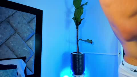 thiago online show from December 2024 04:27:02 AM