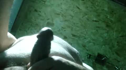 Snapshot of thiccd456 chatting on November 2025 09:14:02 PM ThiccD online show from November 2025 09:14:02 PM