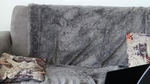 Sebastian online show from January 2025 05:26:01 PM