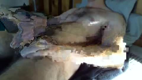 Snapshot of throbmasterr chatting on December 2025 08:16:02 PM throbmasterr online show from December 2025 08:16:02 PM