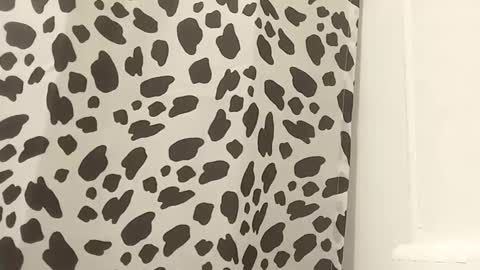 thuzi0n online show from October 2025 09:17:01 AM