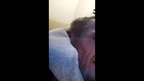 tibed1968836757 online show from February 2026 08:49:02 PM