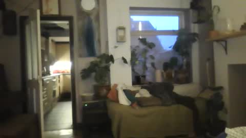 Snapshot of tiddles12345 chatting on October 2025 06:26:02 AM tiddles12345 online show from October 2025 06:26:02 AM