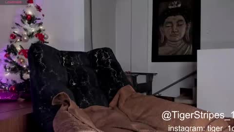 Snapshot of tigerstripes_ chatting on December 2024 03:22:02 AM Chris online show from December 2024 03:22:02 AM