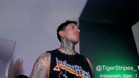 Snapshot of tigerstripes_ chatting on February 2025 02:47:02 AM Chris online show from February 2025 02:47:02 AM