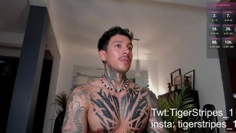 Snapshot of tigerstripes_ chatting on February 2025 12:43:01 AM Chris online show from February 2025 12:43:01 AM