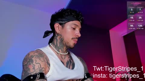 Snapshot of tigerstripes_ chatting on March 2025 10:42:01 PM Chris online show from March 2025 10:42:01 PM