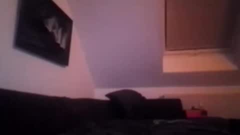 tigertrance online show from November 2025 01:55:02 AM