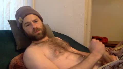 tigerzaddy online show from December 2024 02:49:02 PM