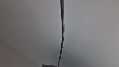 tiko392 online show from April 2026 10:20:02 AM